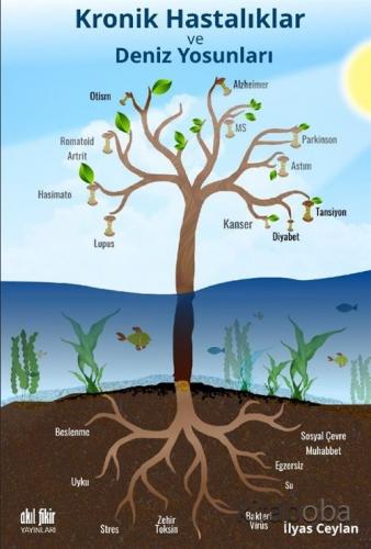 Kronik Hastalıklar ve Deniz Yosunları